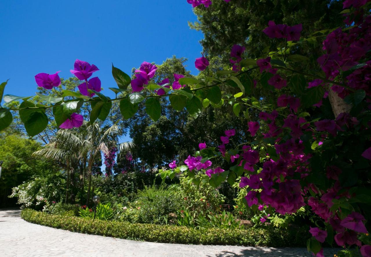 Villa Pampalone - B&B In Dimora Storica Trapani Exteriör bild