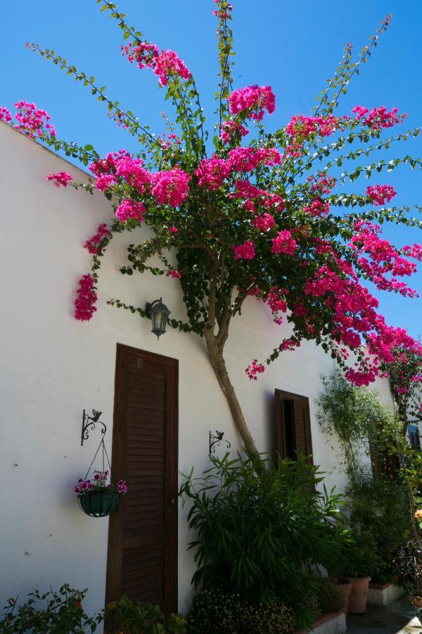 Villa Pampalone - B&B In Dimora Storica Trapani Exteriör bild