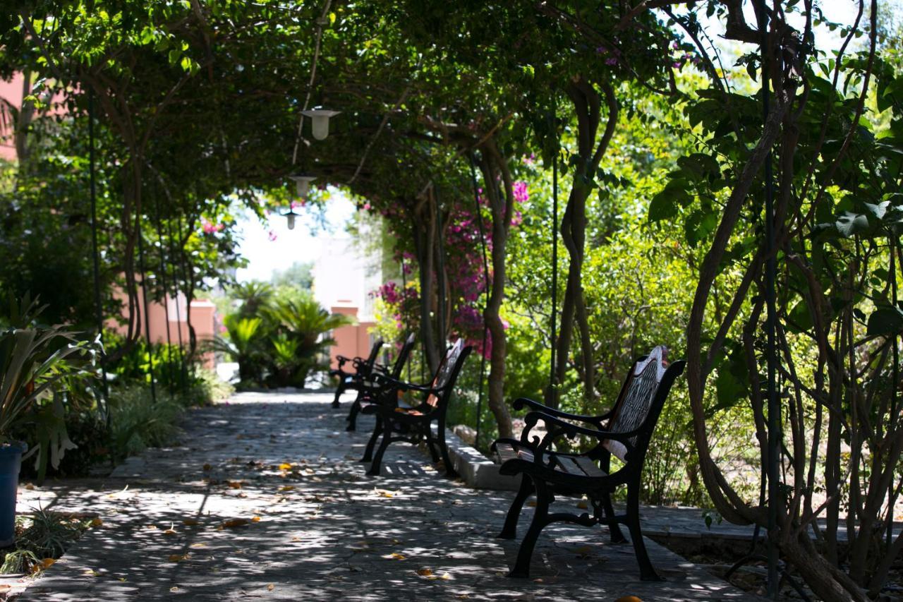 Villa Pampalone - B&B In Dimora Storica Trapani Exteriör bild