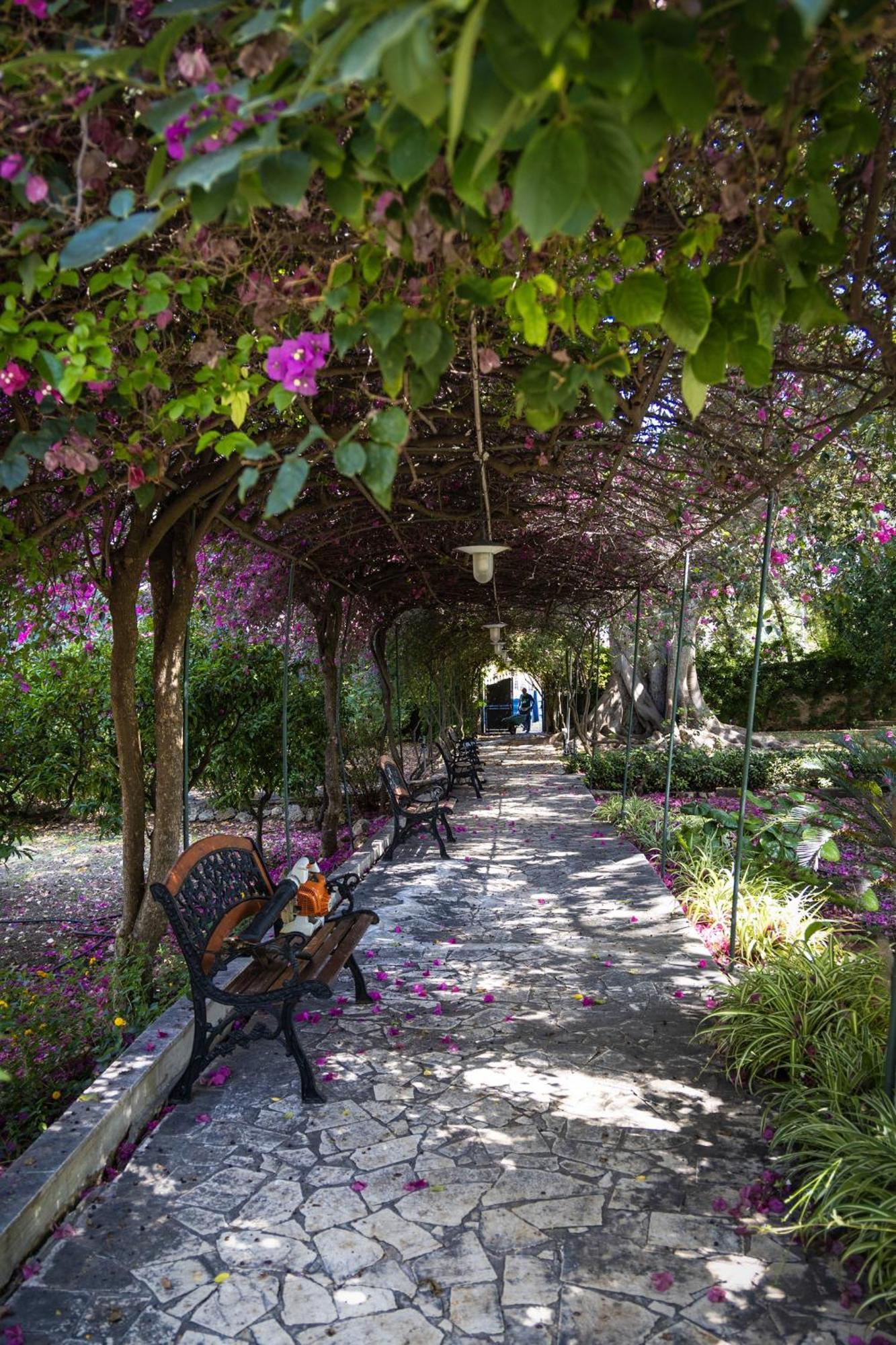 Villa Pampalone - B&B In Dimora Storica Trapani Exteriör bild