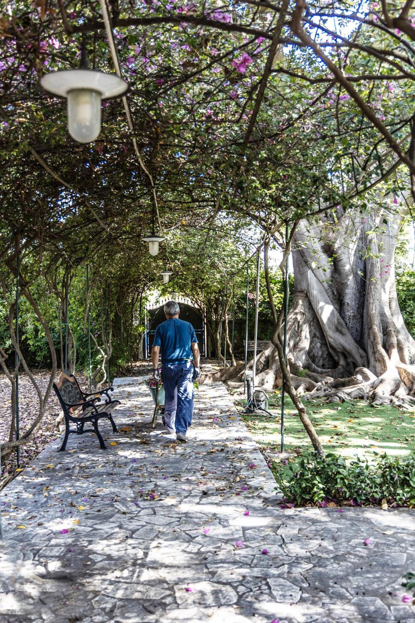 Villa Pampalone - B&B In Dimora Storica Trapani Exteriör bild